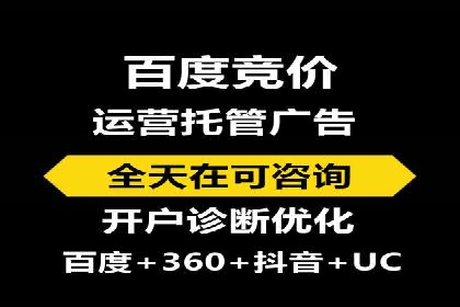 竞价推广成功案例解析
